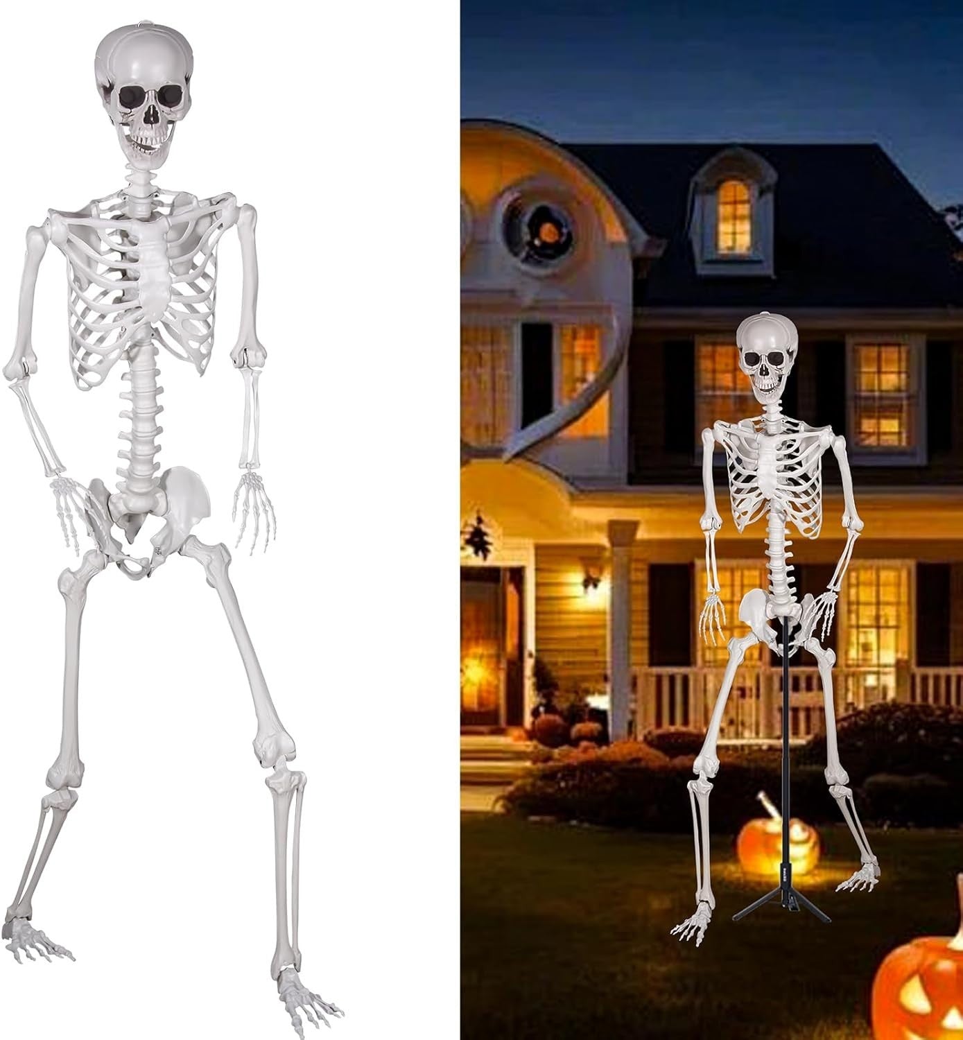 Halloween Plastikskelett 240Cm Ganzkörper Mit Beweglichen Gelenken Für Innen ...