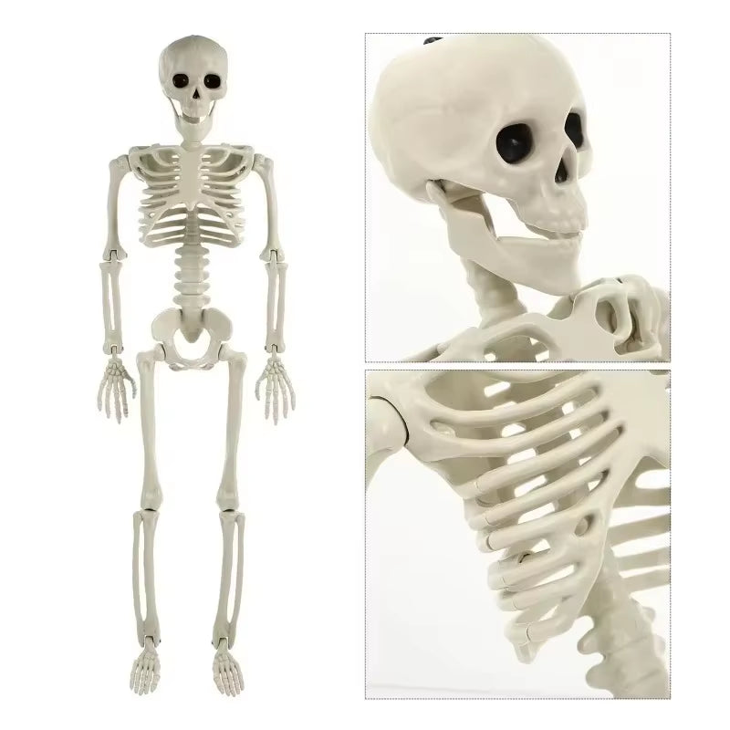 Full Life Size Home Evil Party Decoration Horror Scary Movable Big Skull 90CM Halloween Movable Skeleton Halloween Ornament Toys